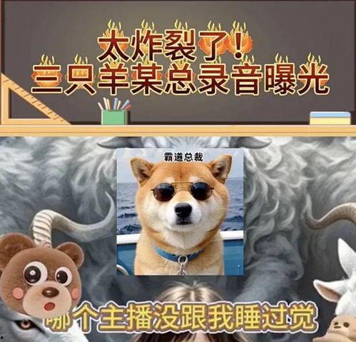 吃瓜录音门,吃瓜群众视角下的娱乐圈风云  第3张